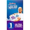 1 Count (Pack of 1)