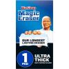 1 Count (Pack of 1)
